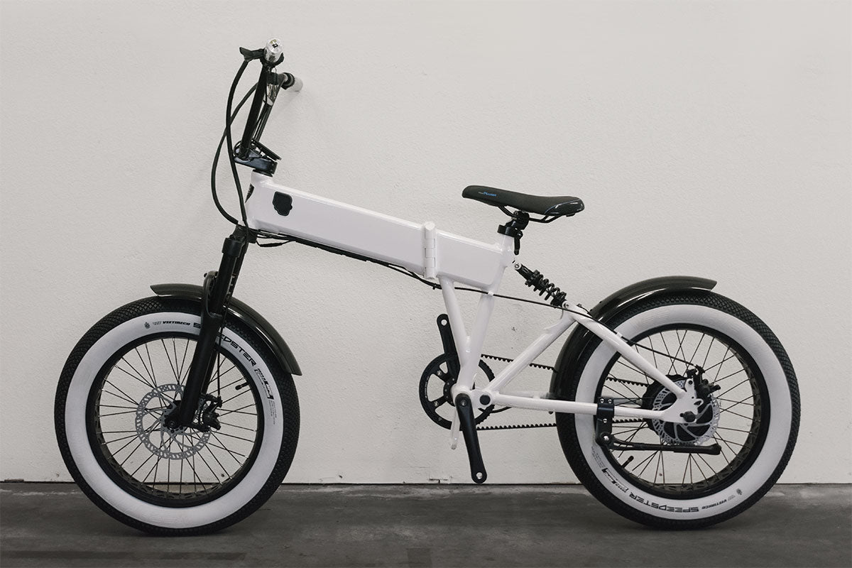 Billy e-bike Mudguards