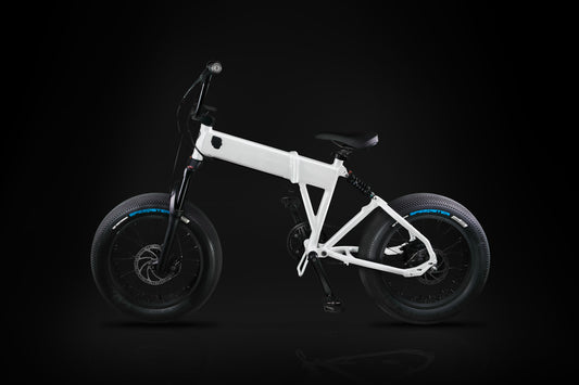 Arctic White Billy ebike